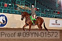 09yn-01572 proof