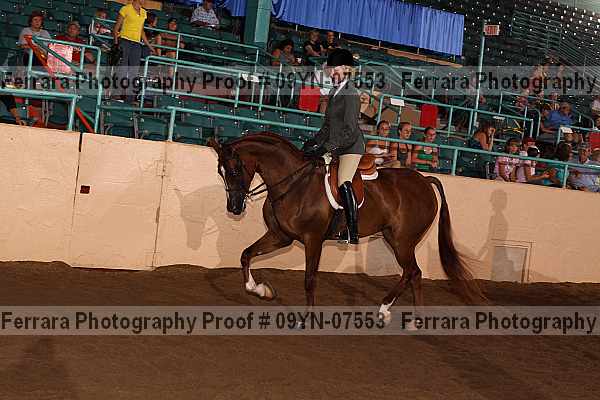 Proof 09yn-07553