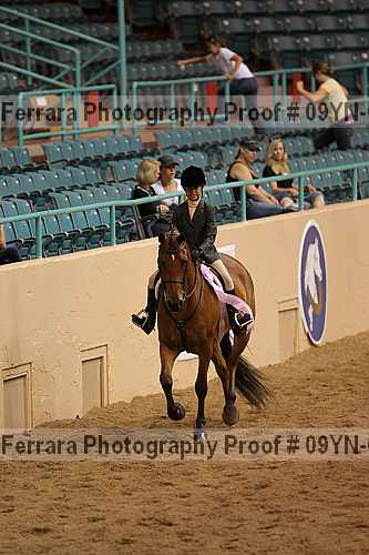 Proof 09yn-07580