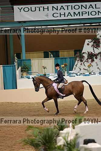 Proof 09yn-07582