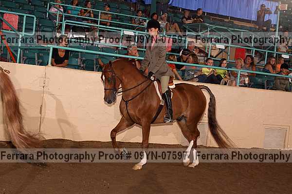 Proof 09yn-07597