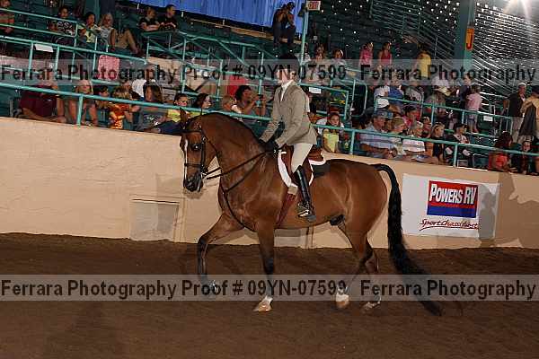 Proof 09yn-07599