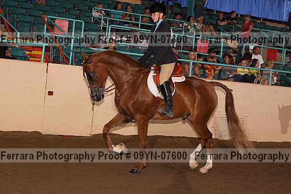 Proof 09yn-07600