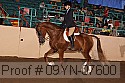 09yn-07600 proof