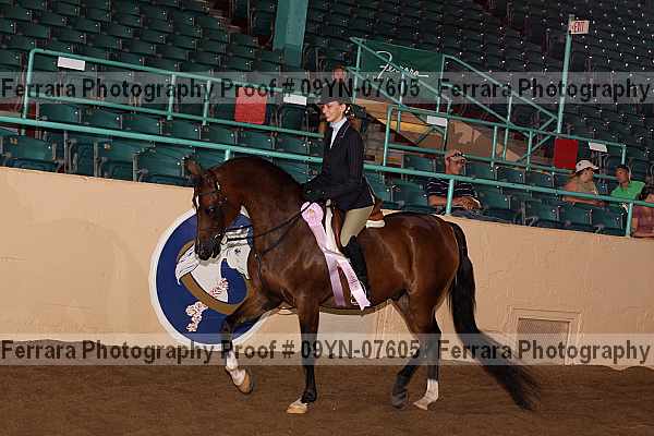 Proof 09yn-07605