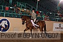 09yn-07607 proof