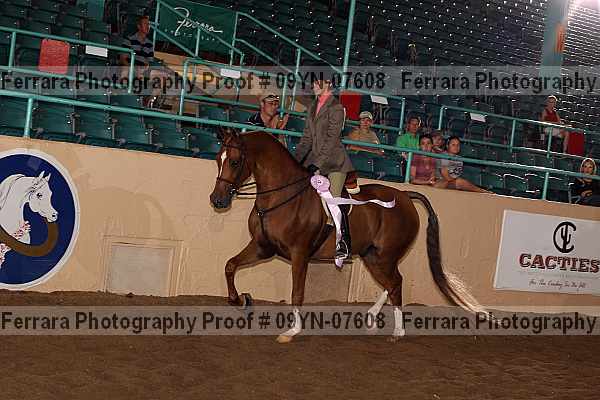 Proof 09yn-07608
