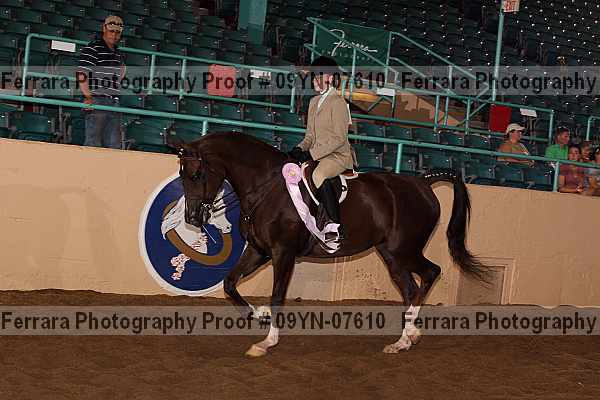 Proof 09yn-07610