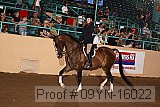 09yn-16022 proof