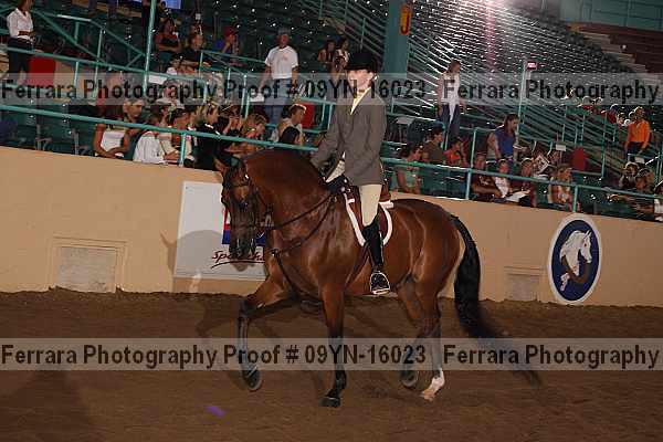 Proof 09yn-16023