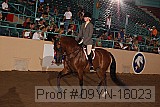09yn-16023 proof