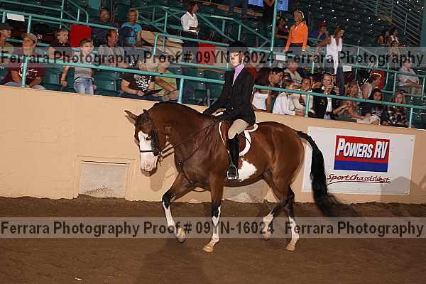 Proof 09yn-16024