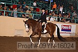 09yn-16024 proof