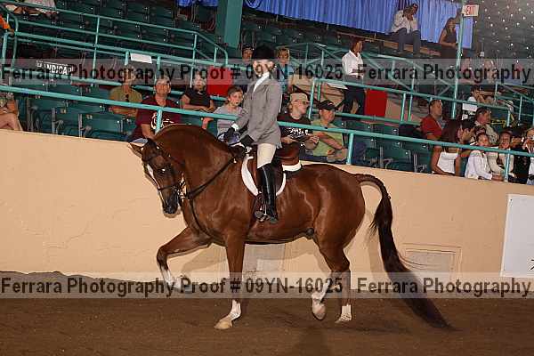 Proof 09yn-16025