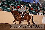 09yn-16025 proof