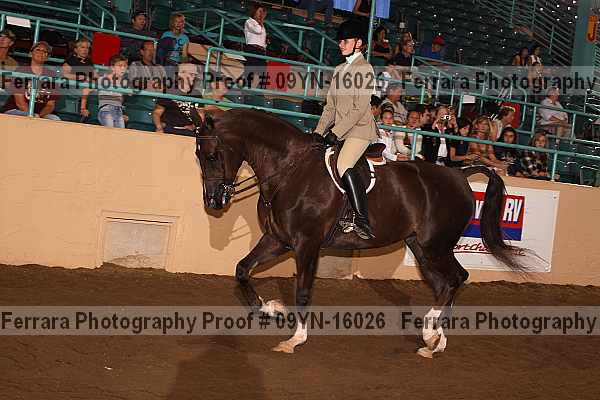 Proof 09yn-16026