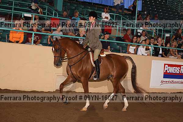 Proof 09yn-16027