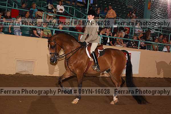 Proof 09yn-16028