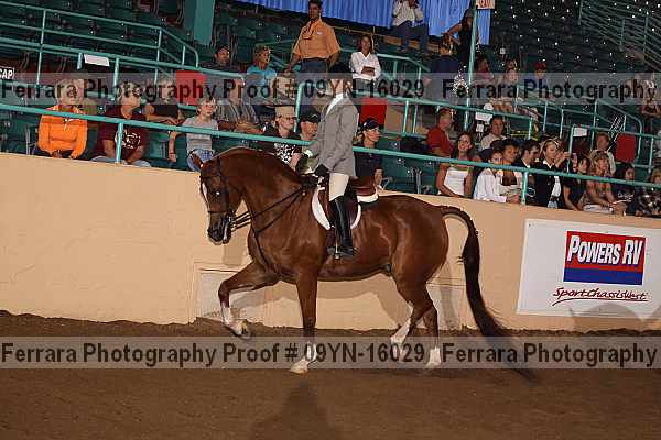Proof 09yn-16029