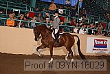 09yn-16029 proof