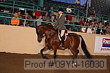 09yn-16030 proof