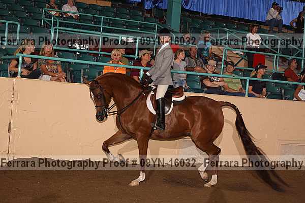 Proof 09yn-16032
