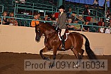 09yn-16034 proof