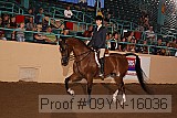 09yn-16036 proof