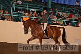 09yn-16037 proof