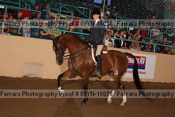 Proof 09yn-16038