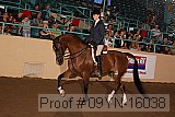 09yn-16038 proof