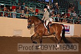 09yn-16040 proof