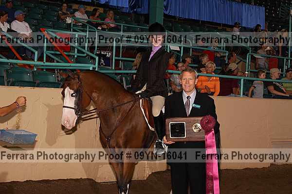 Proof 09yn-16041