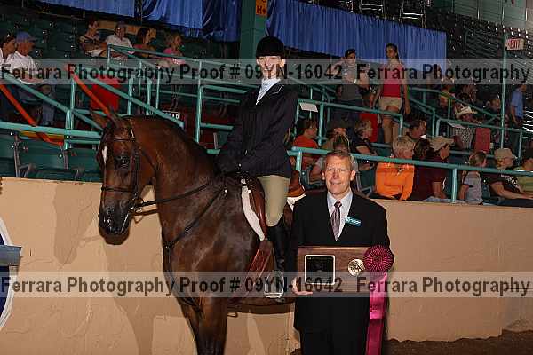 Proof 09yn-16042
