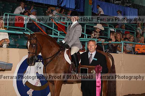 Proof 09yn-16049