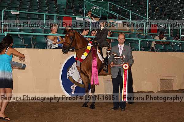 Proof 09yn-16051