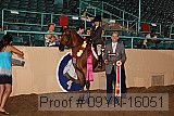 09yn-16051 proof