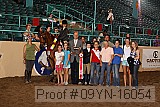 09yn-16054 proof