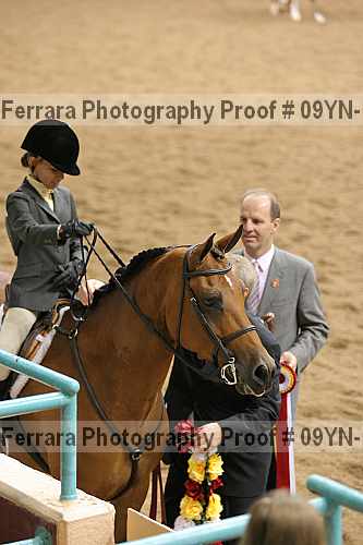 Proof 09yn-16055