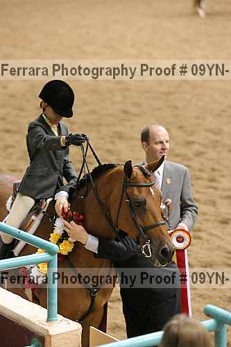 Proof 09yn-16056