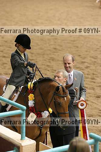 Proof 09yn-16057