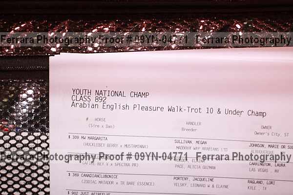Proof 09yn-04771