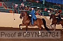 09yn-04784 proof