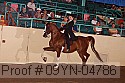 09yn-04786 proof