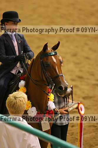 Proof 09yn-04797