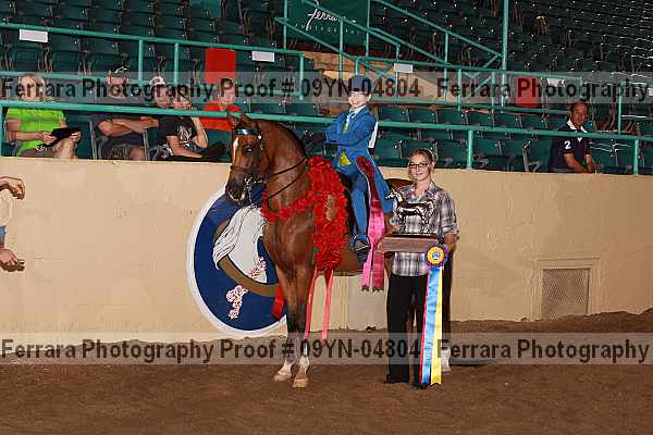 Proof 09yn-04804