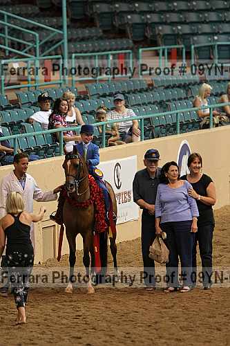 Proof 09yn-04808