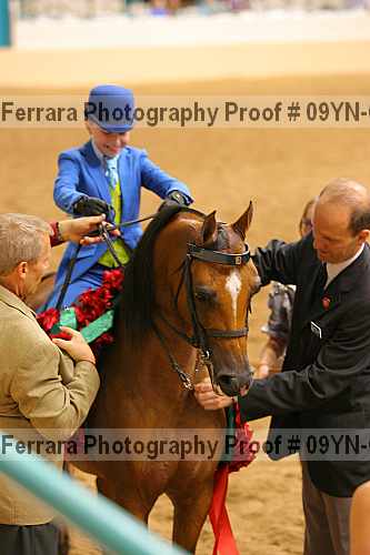 Proof 09yn-04810