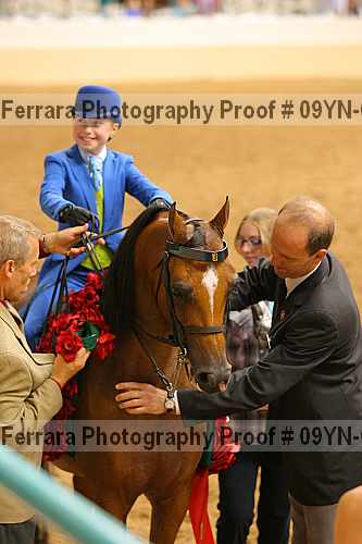 Proof 09yn-04811