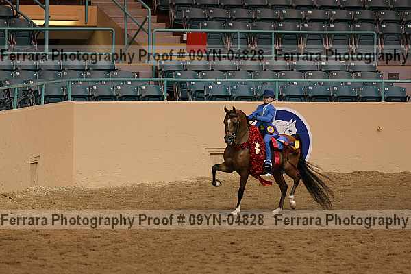 Proof 09yn-04828